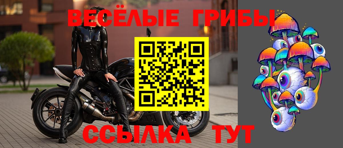 Галлюциногенные грибы Magic Shrooms  Вход с VPN  Абинск  Галлюциногенные грибы Psilocybine cubensis 