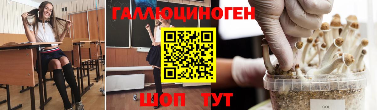 Псилоцибиновые грибы GOLDEN TEACHER Абинск